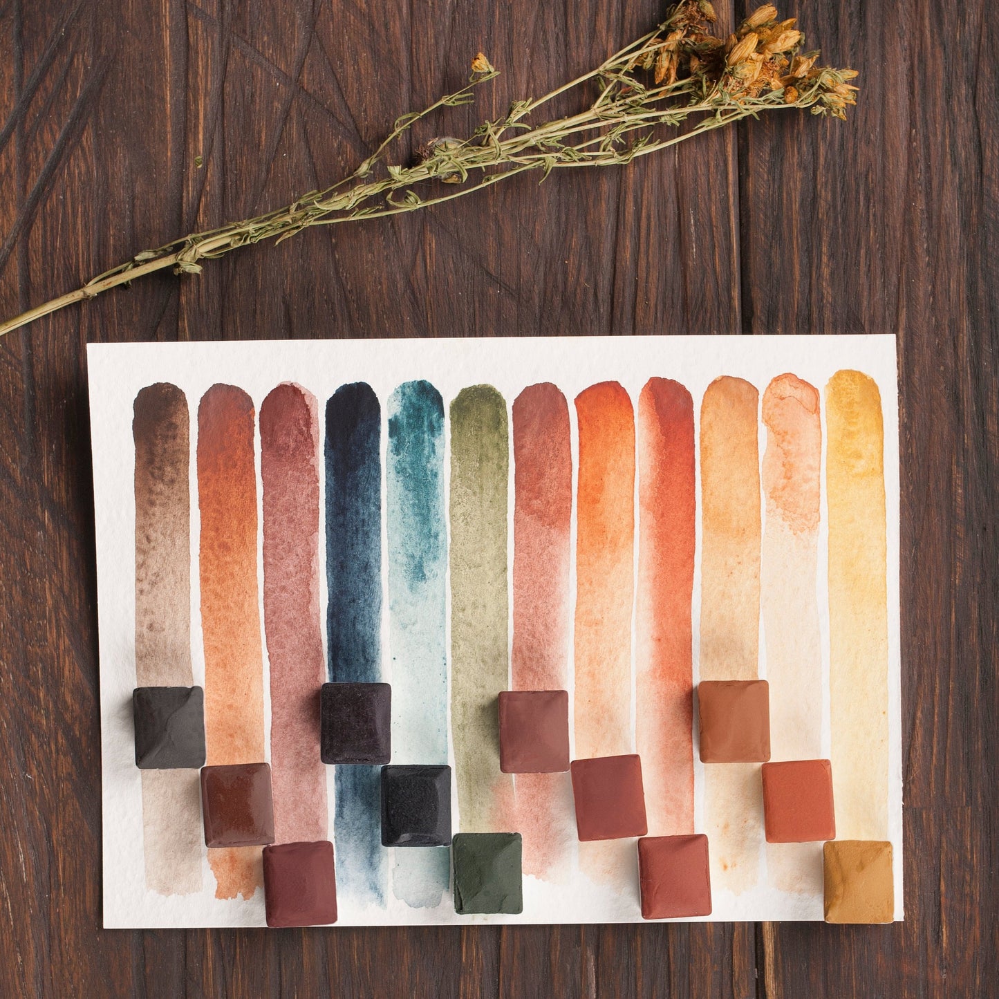 Handmade watercolor paint. Artist paint set of 12 colors. Watercolor palette.