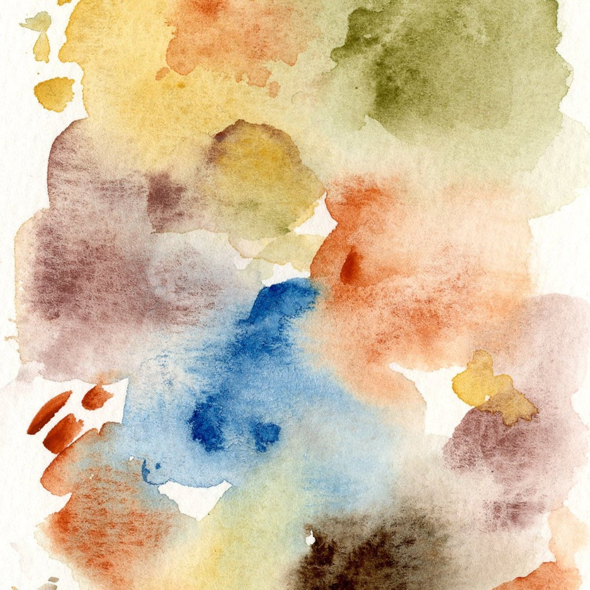 Classic MIneral Palette - 12 colors