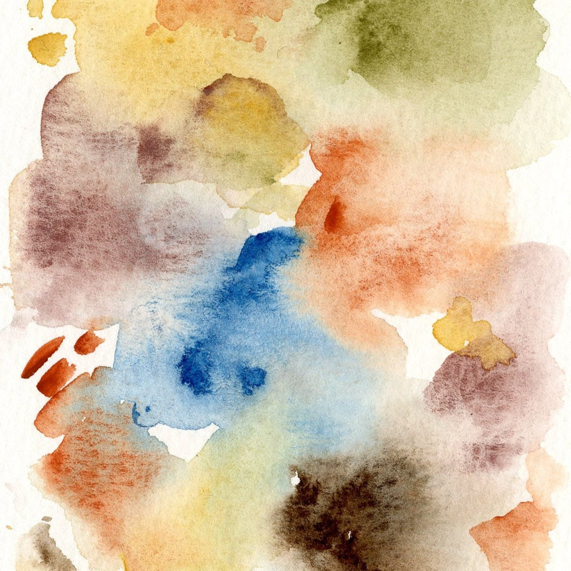 Classic MIneral Palette - 12 colors