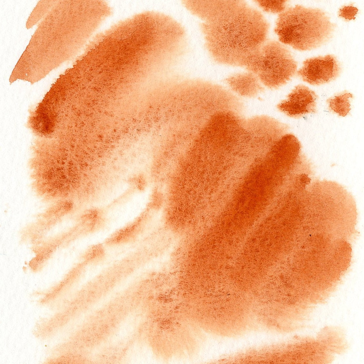 Classic MIneral Palette - 12 colors