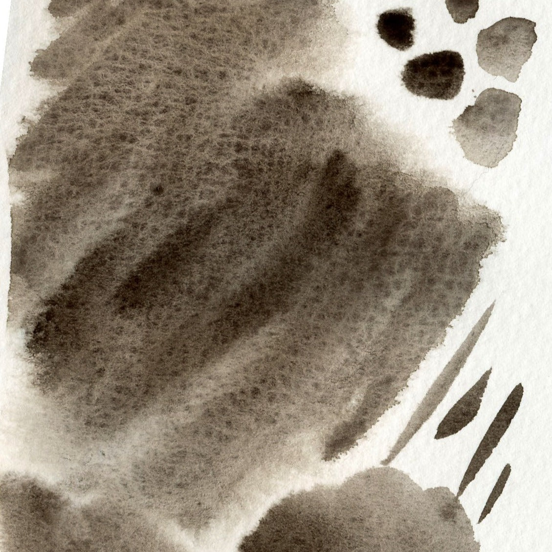 Cassel Brown
