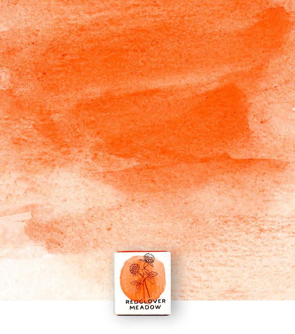 Coral Orange