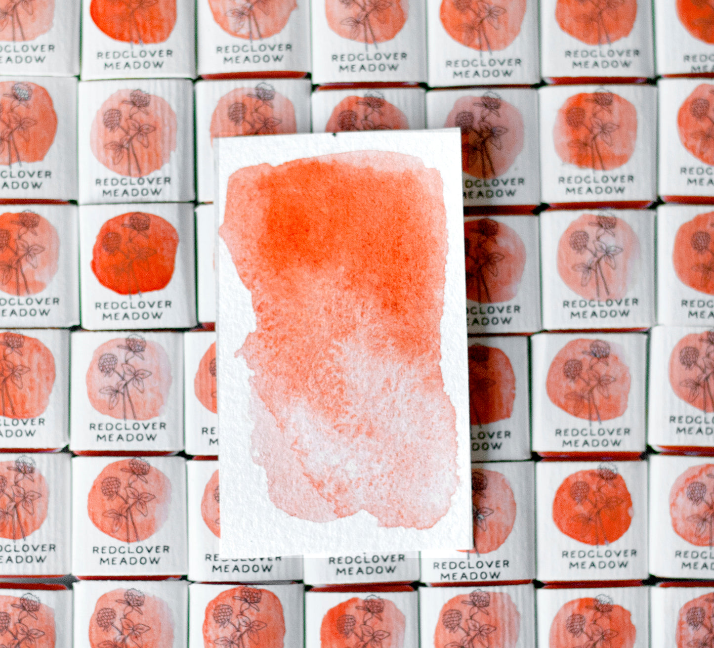 Coral Orange