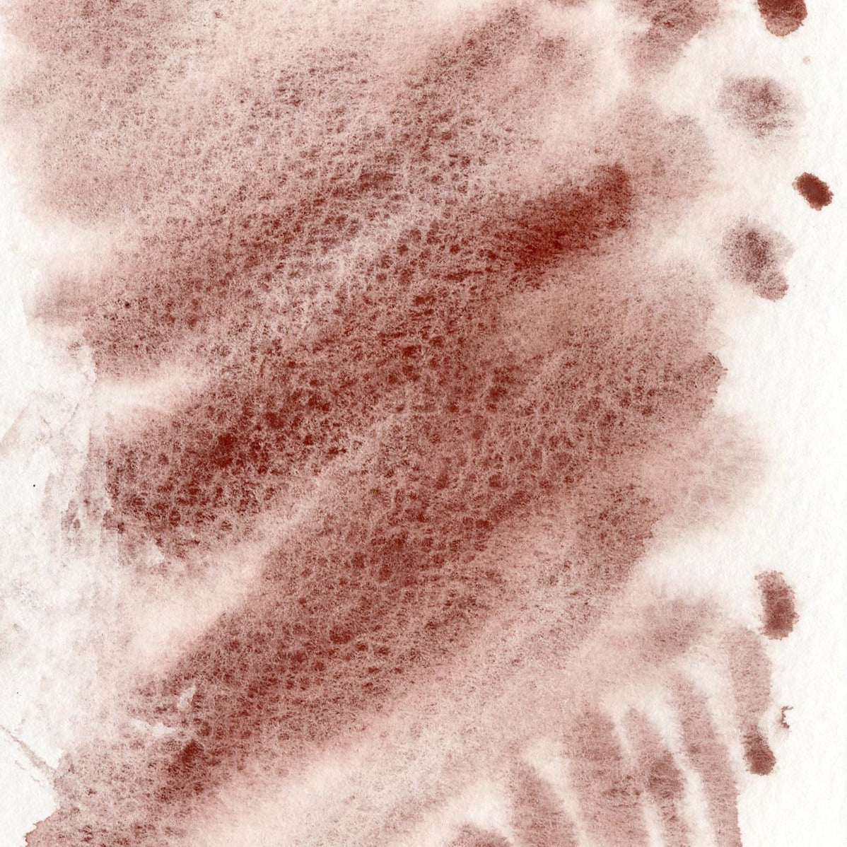Classic MIneral Palette - 12 colors