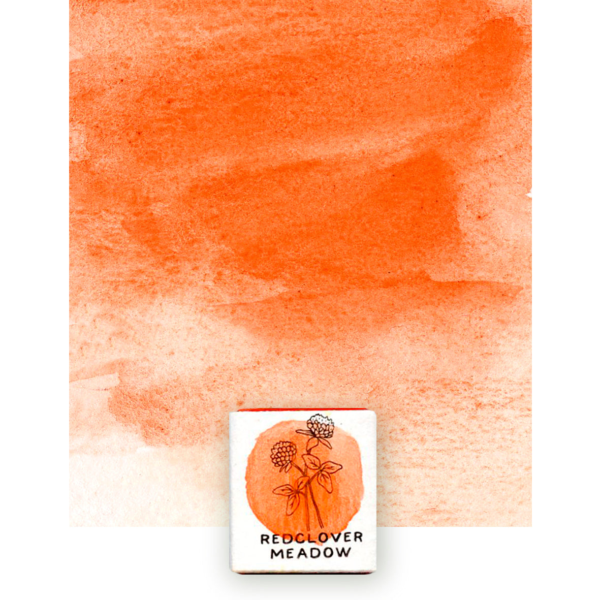 Coral Orange
