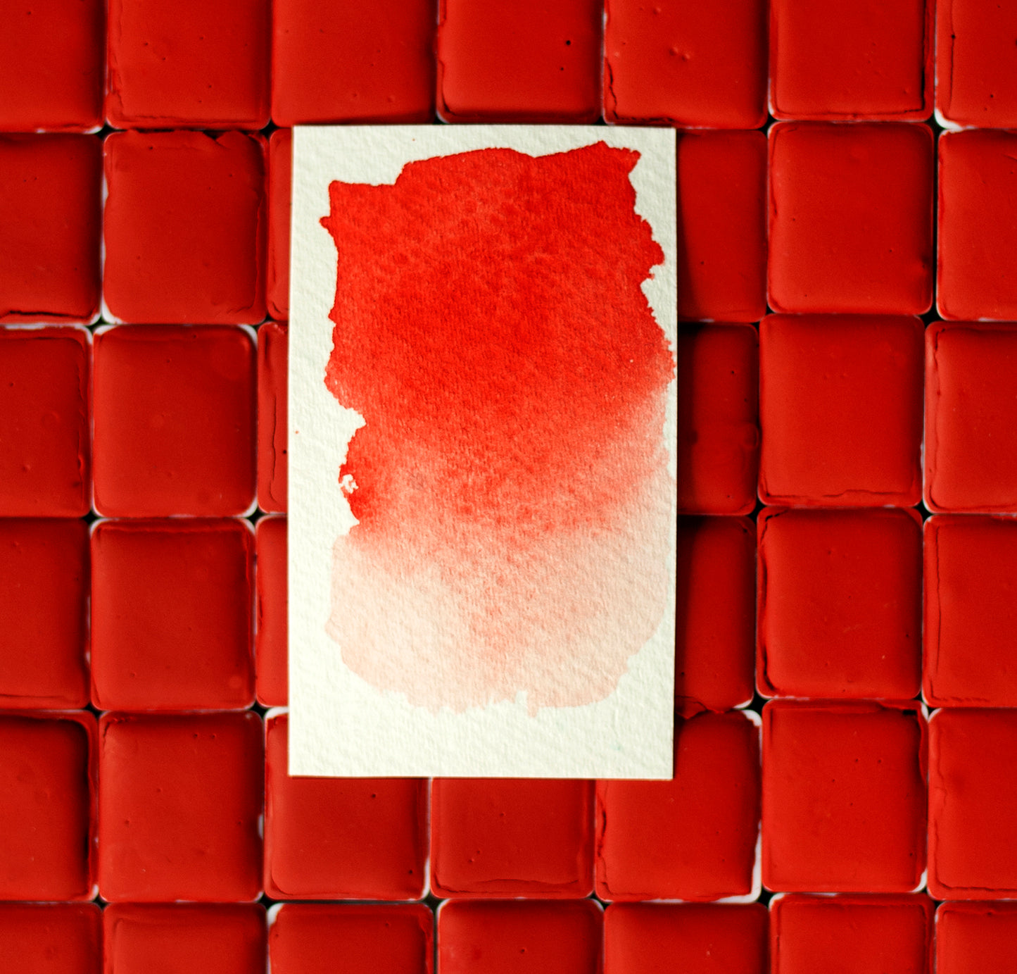 French Vermilion