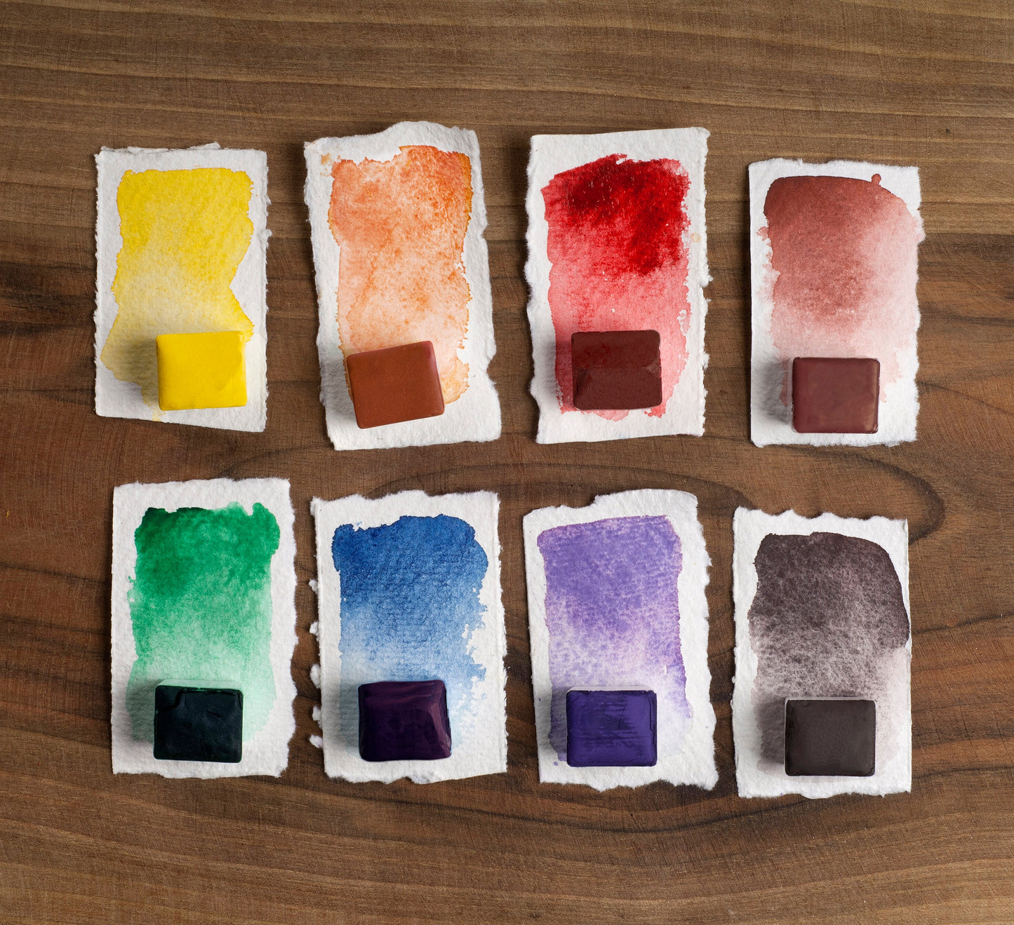 Starter watercolor set of 8 colors.