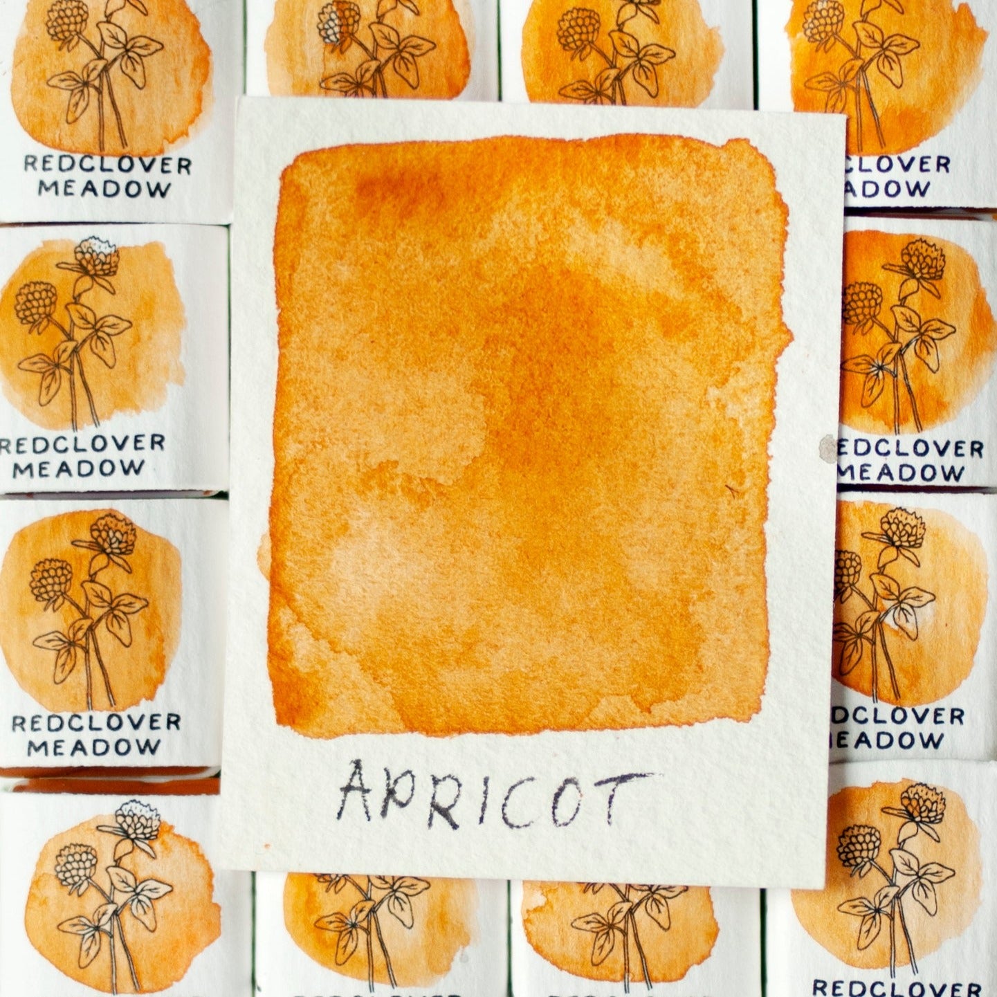 Apricot