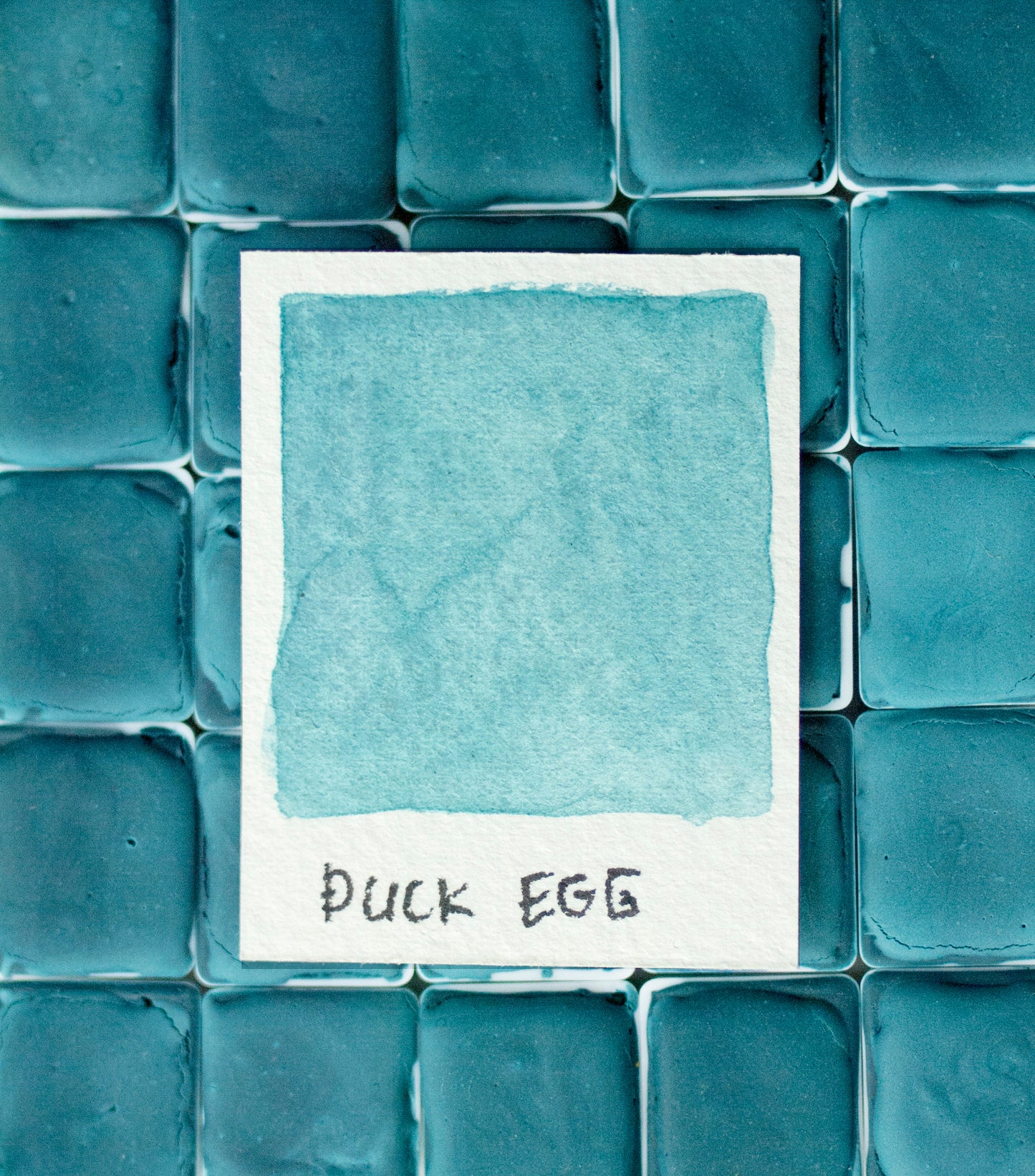 Duck Egg