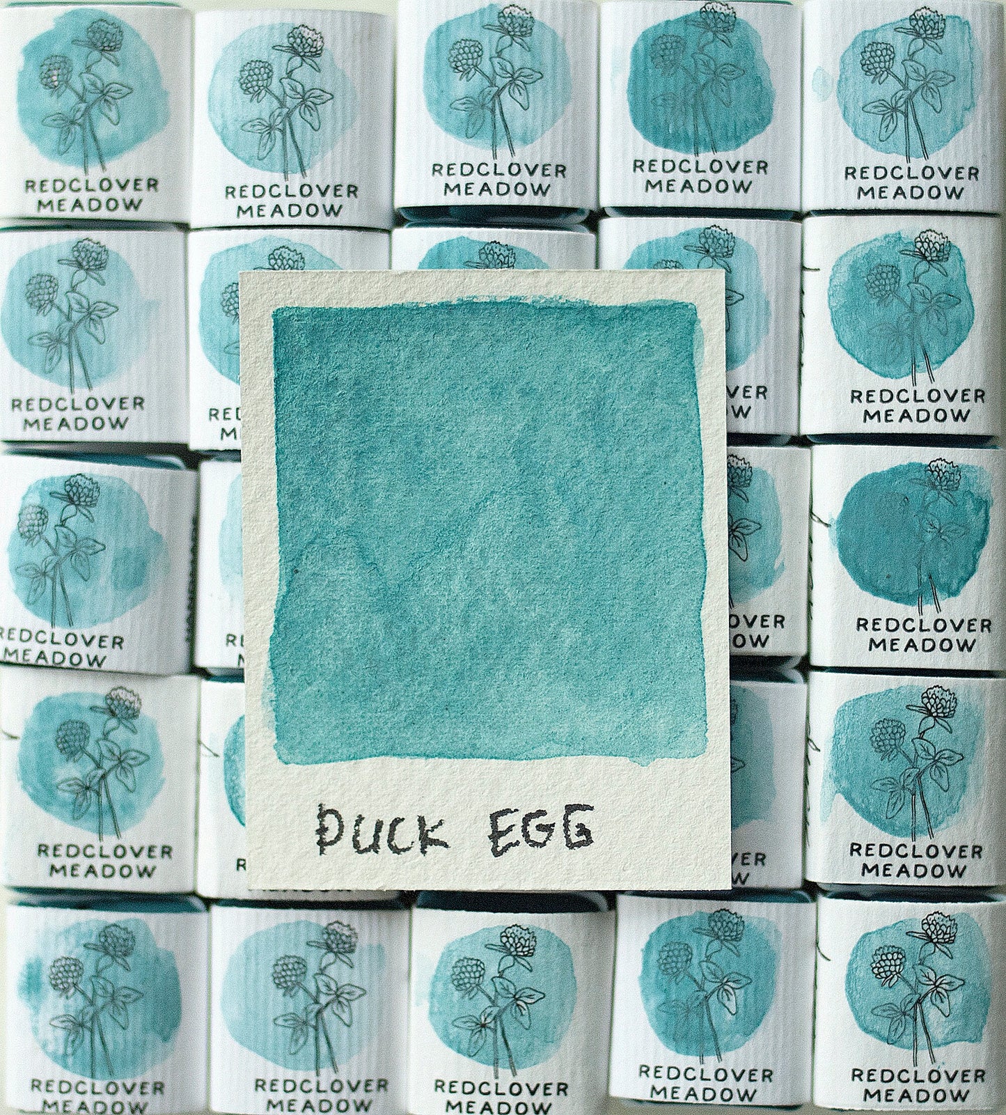 Duck Egg