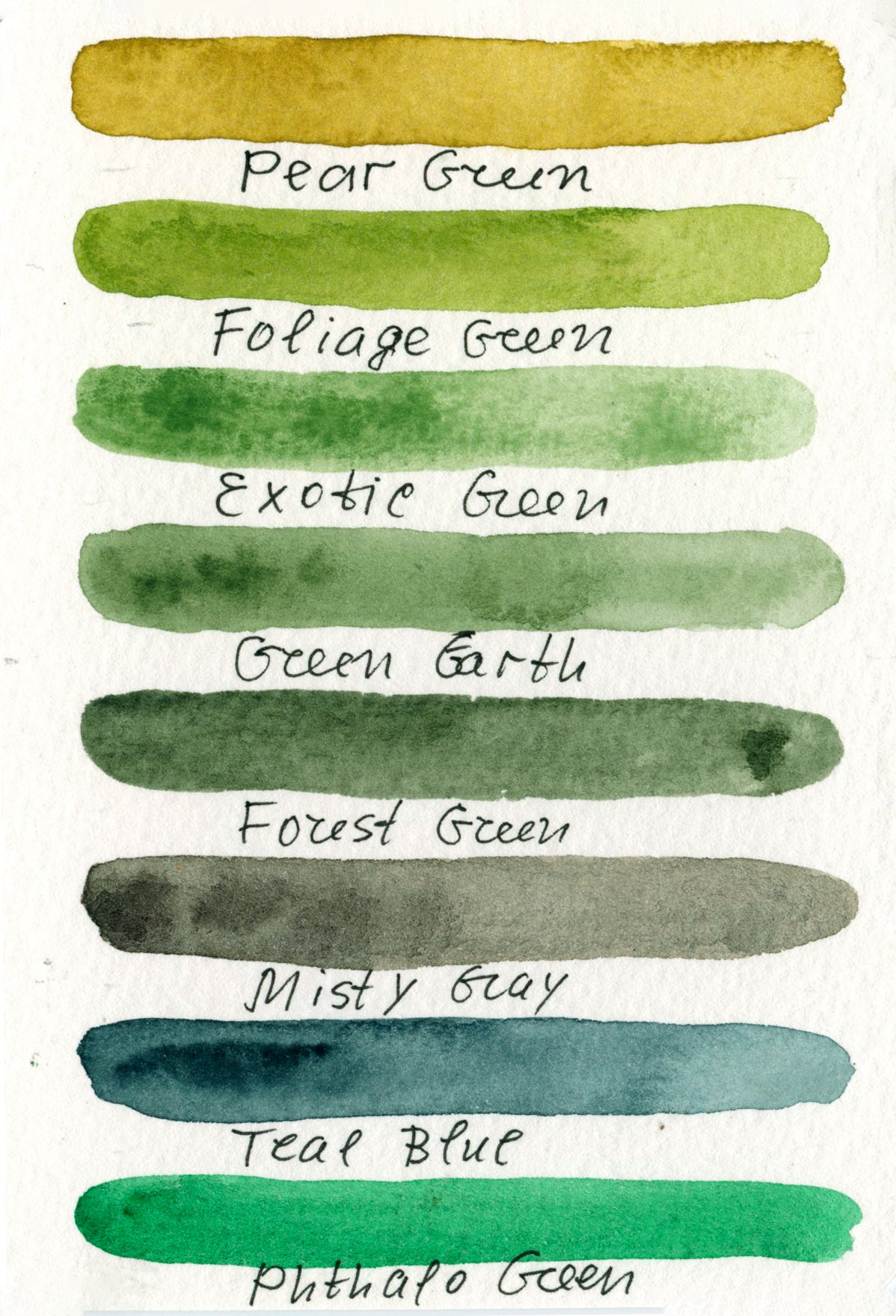 Green watercolor palette